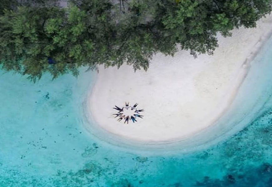 Pulau Dolphin